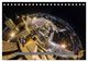 Thumbnail-14