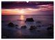 Thumbnail-8