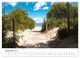 Thumbnail-14