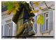 Thumbnail-12