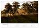 Thumbnail-14