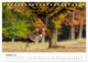 Thumbnail-12