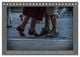 Thumbnail-13
