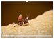 Thumbnail-12
