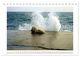 Thumbnail-14