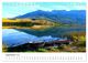 Thumbnail-11
