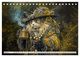 Thumbnail-11
