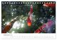 Thumbnail-14