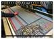 Thumbnail-13