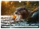 Thumbnail-10