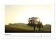 Thumbnail-10