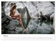 Thumbnail-9