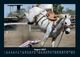 Thumbnail-12