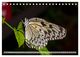 Thumbnail-9