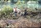 Thumbnail-11