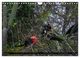 Thumbnail-11