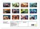 Thumbnail-4