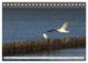 Thumbnail-13