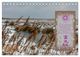Thumbnail-14