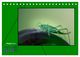 Thumbnail-13