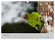 Thumbnail-10