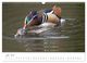 Thumbnail-12