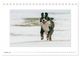 Thumbnail-12