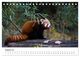 Thumbnail-13