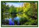 Thumbnail-8
