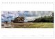 Thumbnail-12