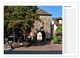 Thumbnail-8