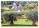 Thumbnail-11