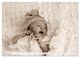 Thumbnail-14