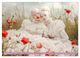 Thumbnail-13