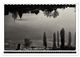 Thumbnail-11