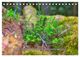 Thumbnail-12