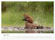 Thumbnail-11