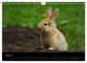 Thumbnail-9