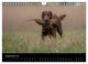 Thumbnail-11
