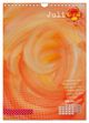 Thumbnail-10