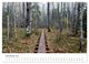 Thumbnail-13