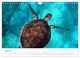 Thumbnail-12