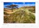 Thumbnail-14