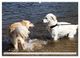 Thumbnail-14