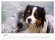 Thumbnail-12