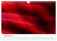 Thumbnail-14