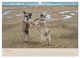 Thumbnail-9