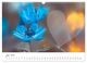 Thumbnail-11