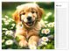 Thumbnail-10