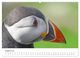 Thumbnail-9